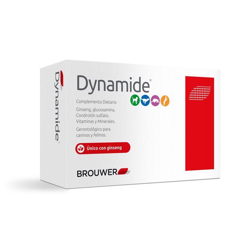 Dynamide