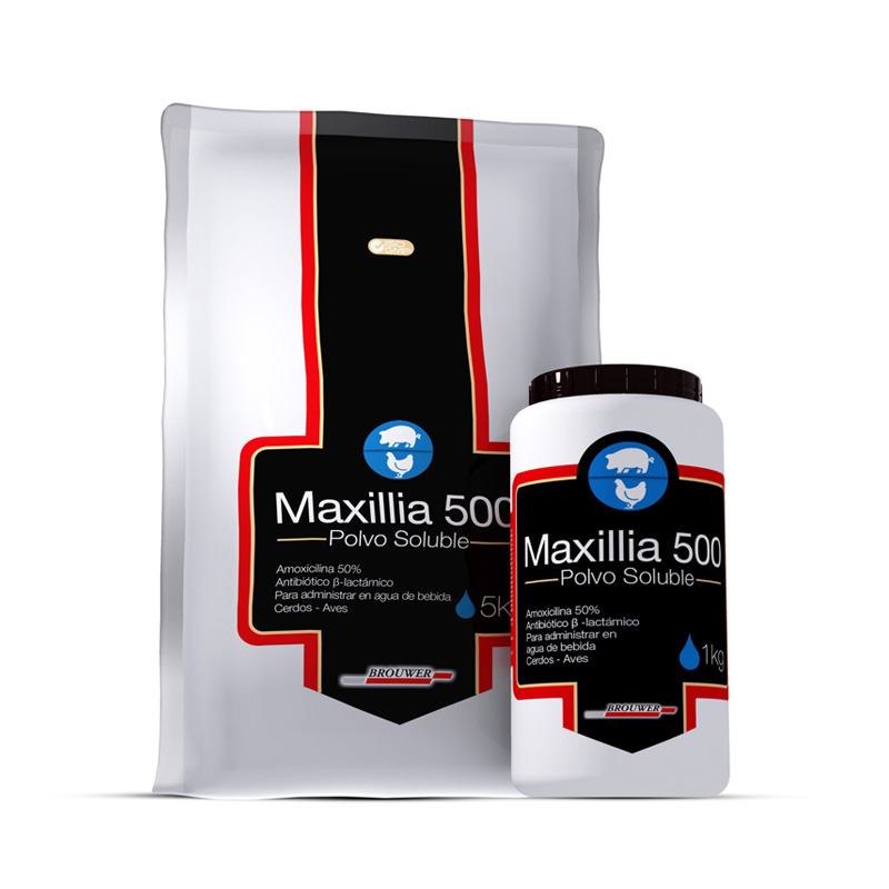 Maxillia 500 Polvo Soluble