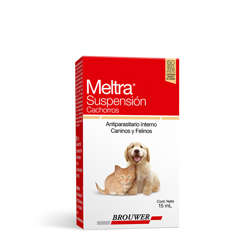 Meltra Suspension Puppies