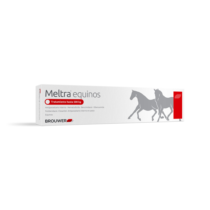 Meltra Equinos