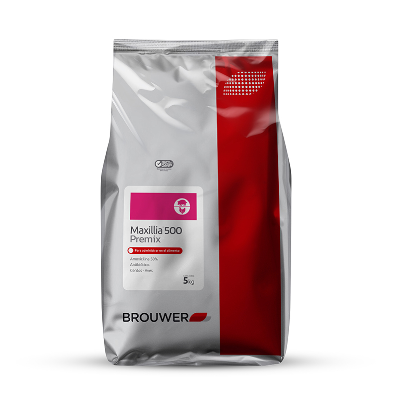 Maxillia 500 Premix